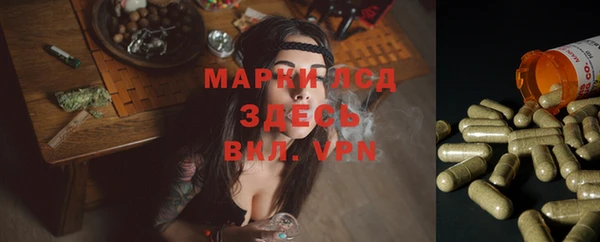 ГАЛЛЮЦИНОГЕННЫЕ ГРИБЫ Балахна