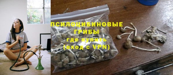 дурь Нязепетровск