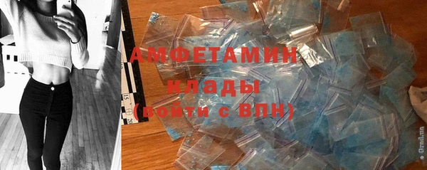 ГАЛЛЮЦИНОГЕННЫЕ ГРИБЫ Балахна
