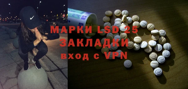 ГАЛЛЮЦИНОГЕННЫЕ ГРИБЫ Балахна