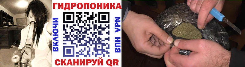hydra зеркало  Любим  Шишки марихуана семена 